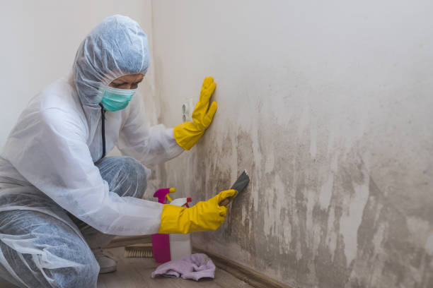 Best Mold Remediation for Healthcare Facilities  in Duncan Falls, OH