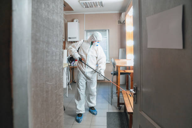 Best Basement Mold Removal  in Duncan Falls, OH