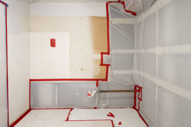 Best Mold Removal for HVAC Installations  in Duncan Falls, OH