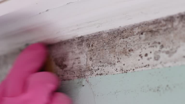 Best Residential Mold Inspection & Testing  in Duncan Falls, OH